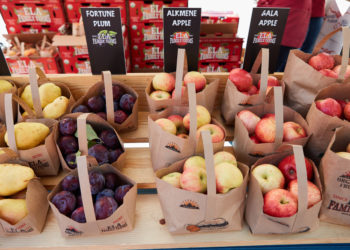 Snag the last of the season’s bounty at the final local farmers markets – Boulder Daily Camera