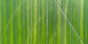 The Internet of things