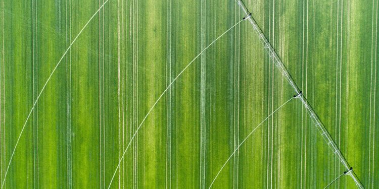 The Internet of things