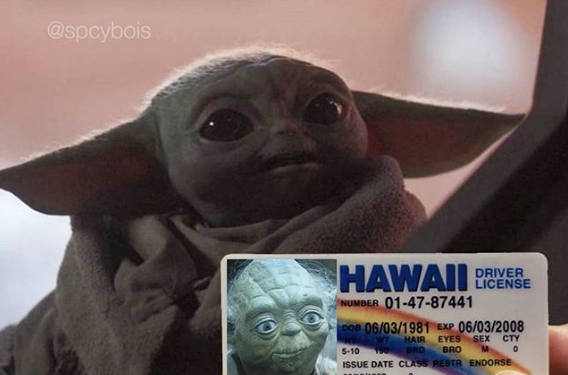 It’s a Baby Yoda takeover – The Minnesota Republic