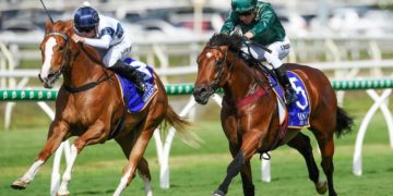 Snowdens take grip on Millions 2Y0 Classic