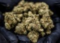 Legal weed is now up to N.J. voters as lawmakers vote to put it on 2020 ballot Legal weed is now up to N.J. voters as lawmakers vote to put it on 2020 ballot