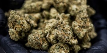 Legal weed is now up to N.J. voters as lawmakers vote to put it on 2020 ballot