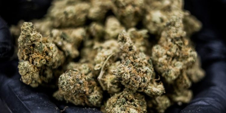 Legal weed is now up to N.J. voters as lawmakers vote to put it on 2020 ballot