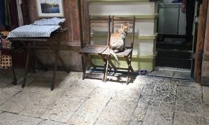 Recruitment Marketing Essentials #4: Deal with your Bad Reviews