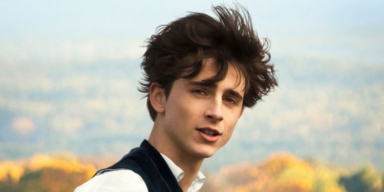 Timothee Chalamet