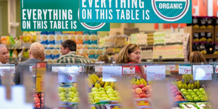 Court documents tell the story of Lucky’s demise - Business - Sarasota Herald-Tribune story