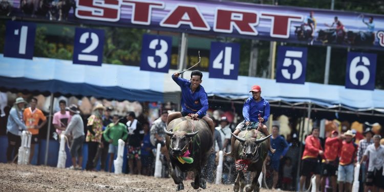 Loving these underloved stocks can add value to your portfolio — plus other top investing tips portfolio