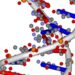 Using a DNA-Based 'Computer,' Scientists Get the Square Root of 900 DNA
