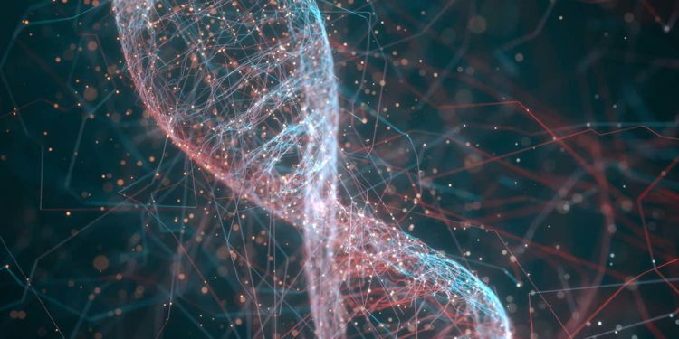 A computer made from DNA can compute the square root of 900