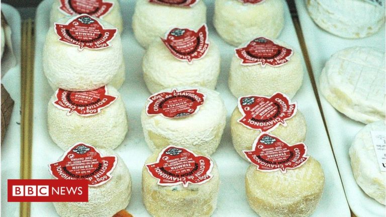 computer translators