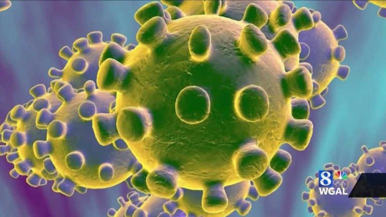 coronavirus information