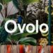 Ovolo Hotels
