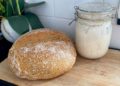 sourdough starters