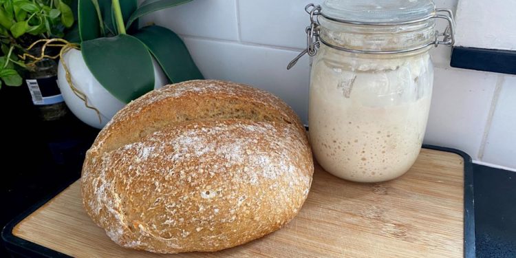 A Beginner's Guide To Sourdough Starters sourdough starters
