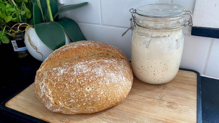 sourdough starters
