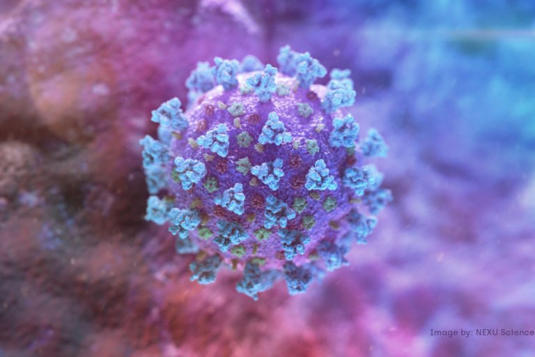 Coronavirus treatments