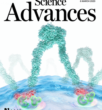 Computer simulations