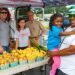 Whitehaven Farmers Market Opens Monday Whitehaven Farmers Market Opens Monday