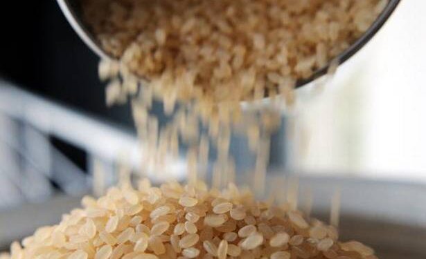 ISB to devise branding, marketing plan for Telangana Sona ISB to devise branding, marketing plan for Telangana Sona