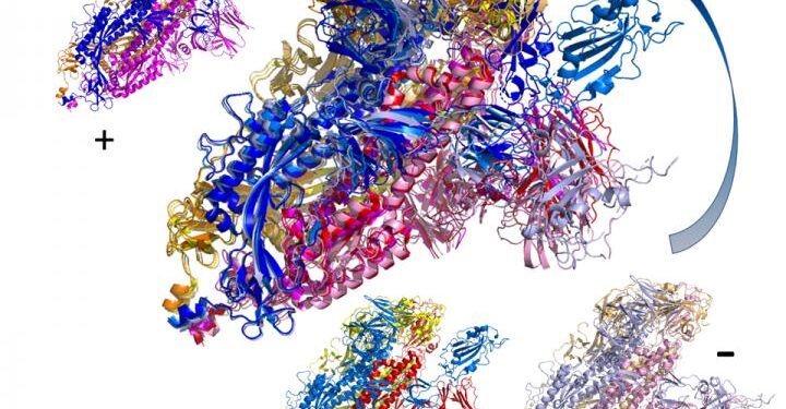 Covid-19: Future targets for treatments rapidly identified with new computer simulations Covid-19: Future targets for treatments rapidly identified with new computer simulations