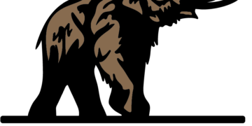 Dougherty Forestry Mfg. Announces New Branding for Forestry Mulcher Attachments