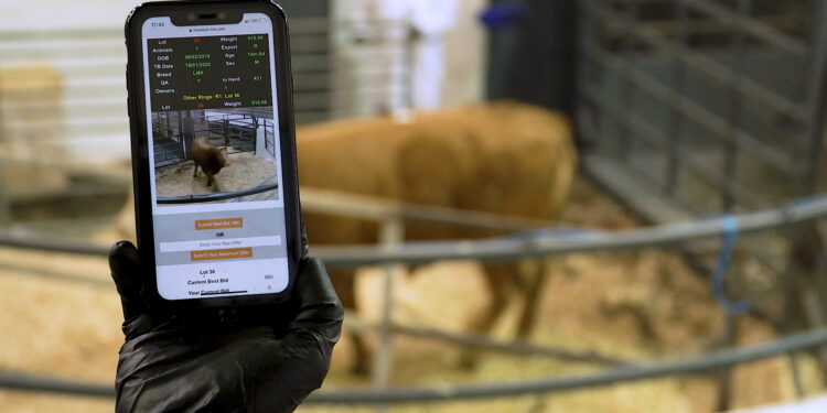 One year on: How has online mart trading performed? One year on: How has online mart trading performed?