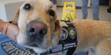 Electronics sniffing dog K-9 Niko works NH child exploitation cases