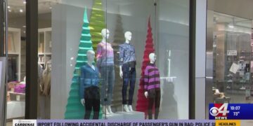 ‘It’s the biggest shopping day of the year’ Black Friday safety tips