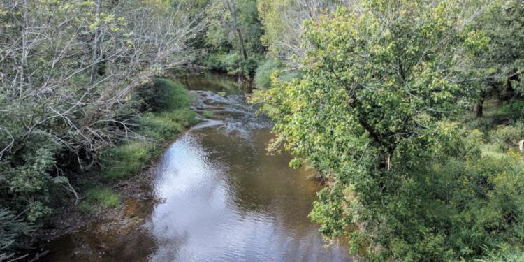 Local Photographer Holden Richard’s New Book Captures and Celebrates the Ever-changing Eno River