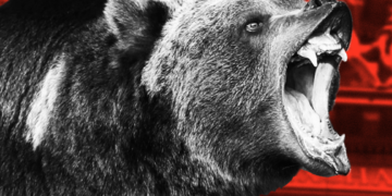 Here’s the Best Advice I Can Give for This Miserable Market