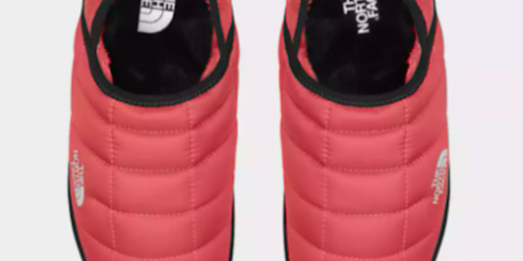 Don't Miss These 11 Internet-Backed Products That Users Love Don’t Miss These 11 Internet-Backed Products That Users Love