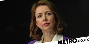 Tory peer ‘forced out role’ after branding Boris Johnson ‘liability’