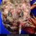 Internet Baffled As Man Posts Picture Of Deep-Sea Fish