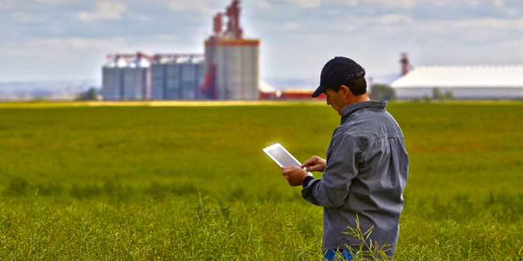 A grain marketing strategy for 2022-23