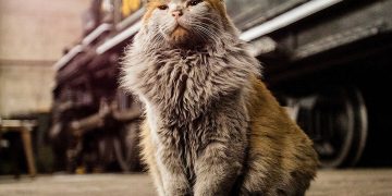 Nevada Northern Railway’s mascot Dirt honored with celebration of life