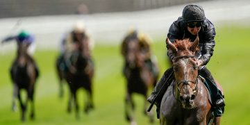 Horse racing tips: Sunday selections from Newsboy for cards at Chester, Haydock and Market Rasen