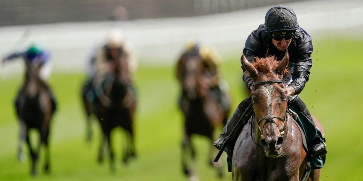 Horse racing tips: Sunday selections from Newsboy for cards at Chester, Haydock and Market Rasen Horse racing tips: Sunday selections from Newsboy for cards at Chester, Haydock and Market Rasen