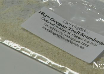 Sudden internet fame overwhelms tiny Colorado sourdough group